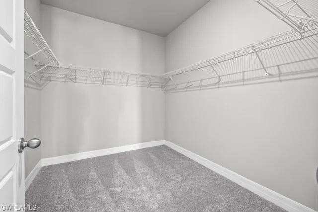Walk in Primary Bedroom closet with carpet