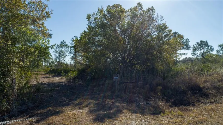 5.07+/- acres on S Swinging Trail, Muse, FL 33935