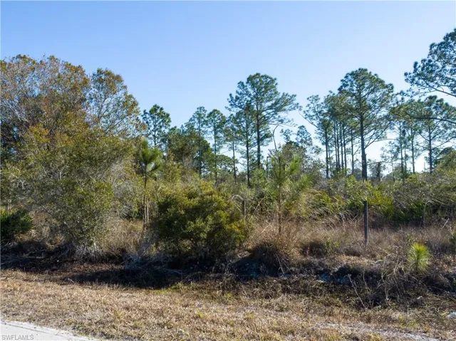5.07+/- acres on S Swinging Trail, Muse, FL 33935