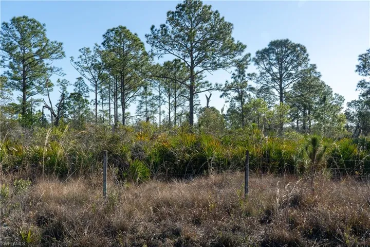 5.07+/- acres on S Swinging Trail, Muse, FL 33935