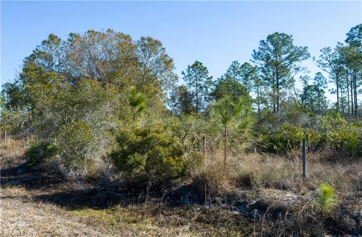 5.07+/- acres on S Swinging Trail, Muse, FL 33935