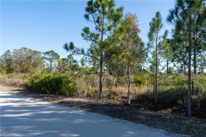 5.07+/- acres on S Swinging Trail, Muse, FL 33935