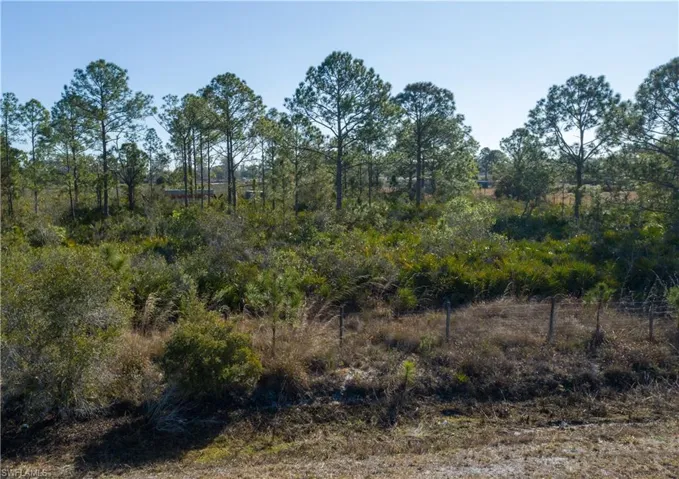 5.07+/- acres on S Swinging Trail, Muse, FL 33935