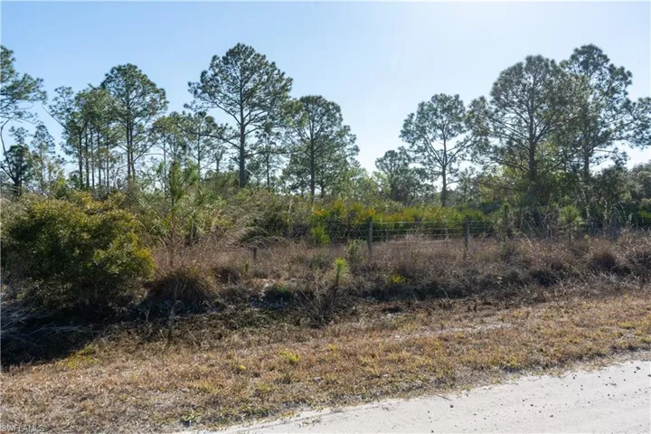 5.07+/- acres on S Swinging Trail, Muse, FL 33935