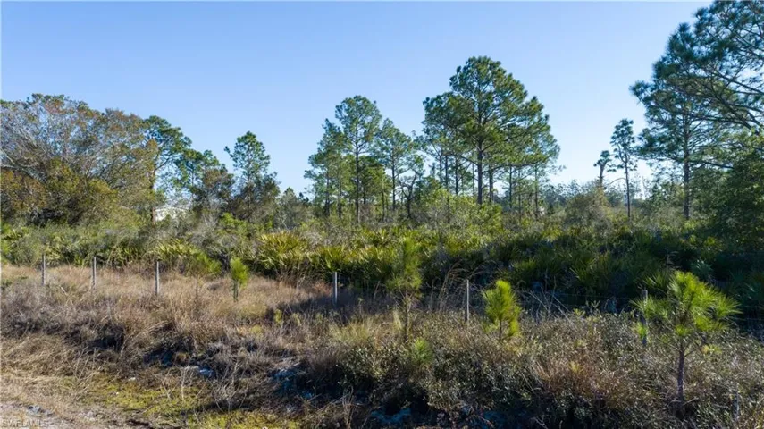 5.07+/- acres on S Swinging Trail, Muse, FL 33935