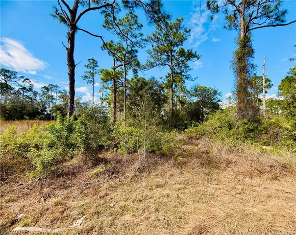View of undeveloped land