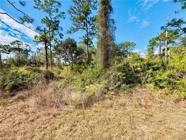 View of undeveloped land