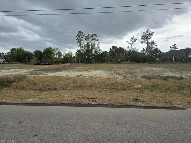 View of lot standing in the street