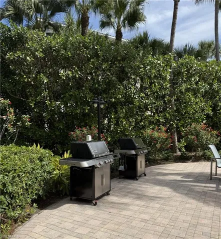 Patio with a grill area