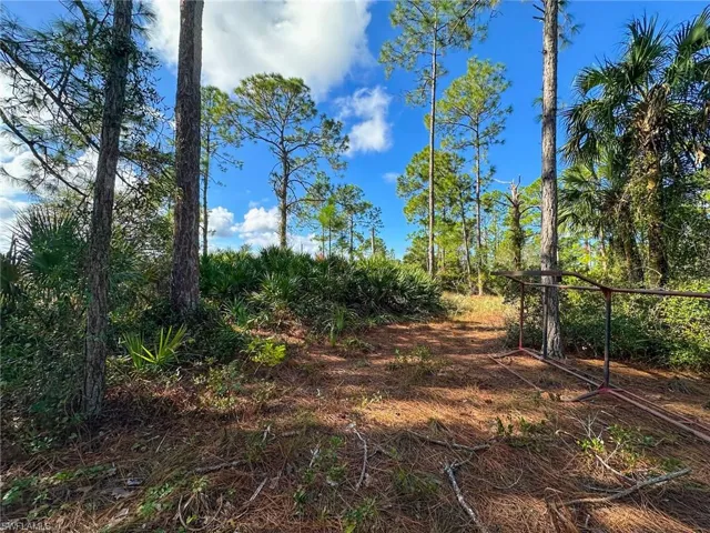 View of nature