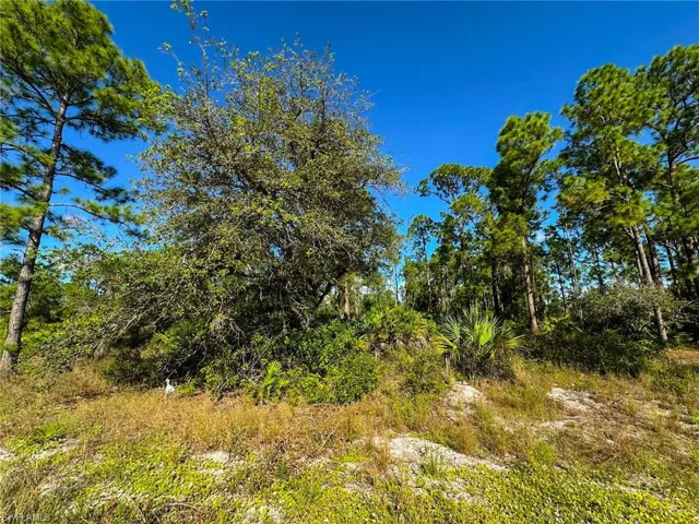 View of landscape
