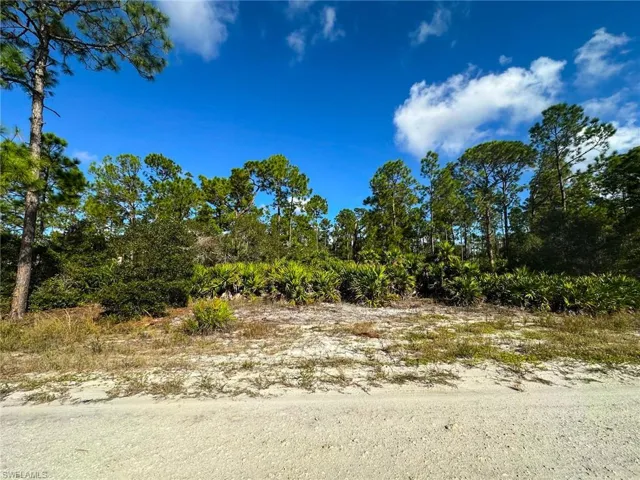 View of local wilderness