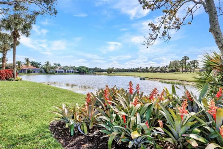 Beauty every where you look!