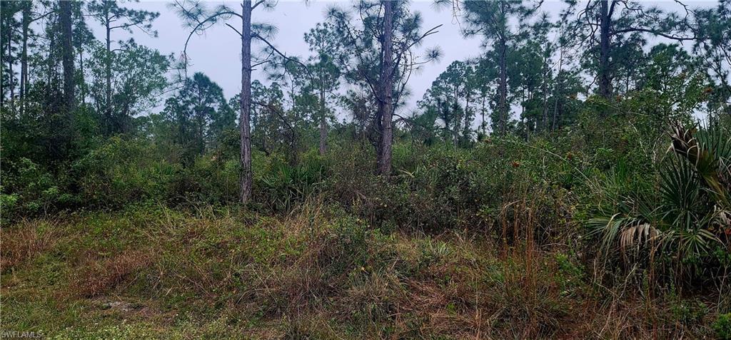 Lot view from East corner