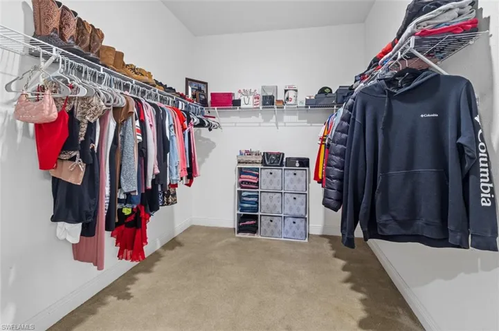 Spacious closet featuring carpet