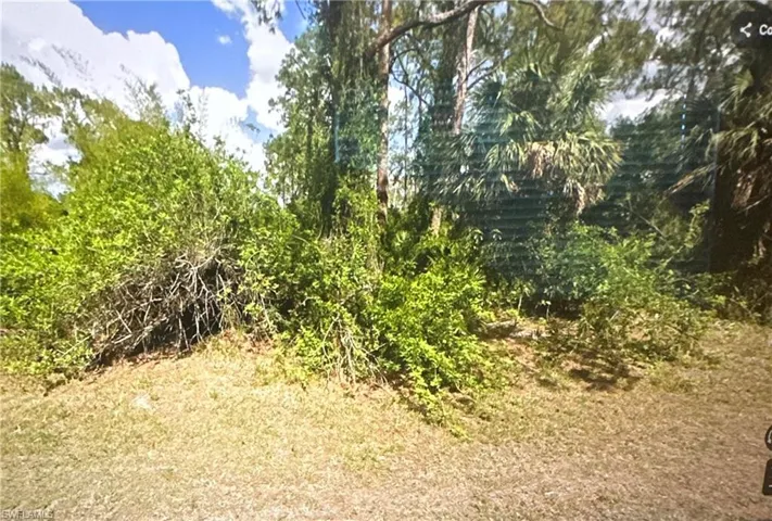 View of undeveloped land
