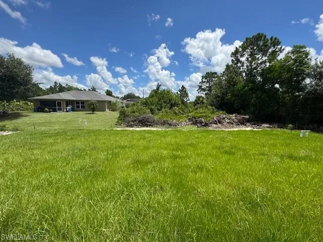 View of grassy yard