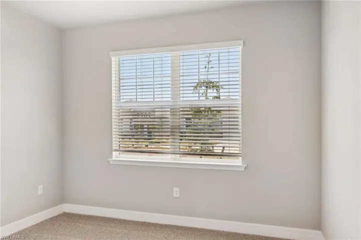 Carpeted spare room featuring baseboards and healthy amount of natural light