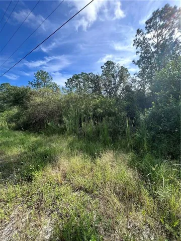 3370  Fernwood  LN, Labelle, FL 33935