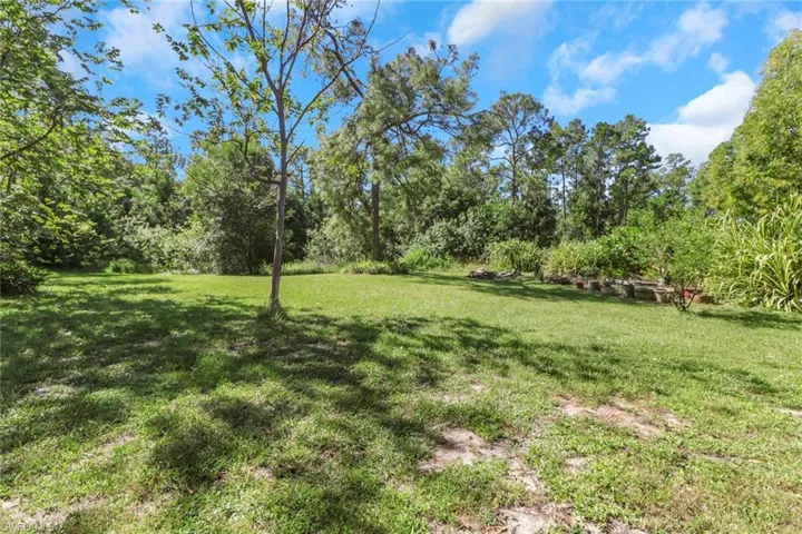 View of grassy yard