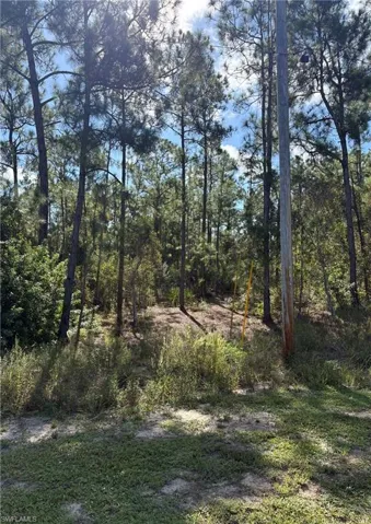 825 Grenada Ave, Lehigh Acres, Florida 33974