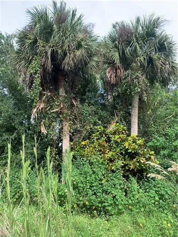 141  Cr-830A  , Felda, FL 33930