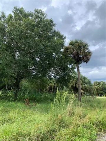 141  Cr-830A  , Felda, FL 33930