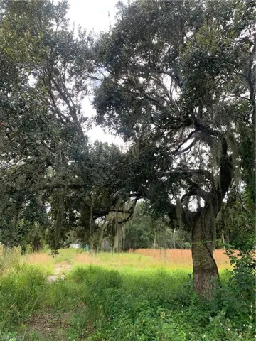 141  Cr-830A  , Felda, FL 33930