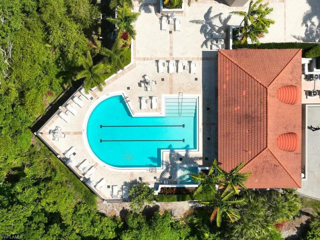 View of bird's eye view