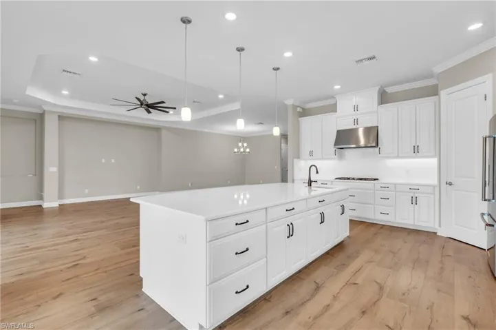 Kitchen featuring sink, an island with sink, a raised ceiling, pendant lighting, and light hardwood / wood-style flooring
