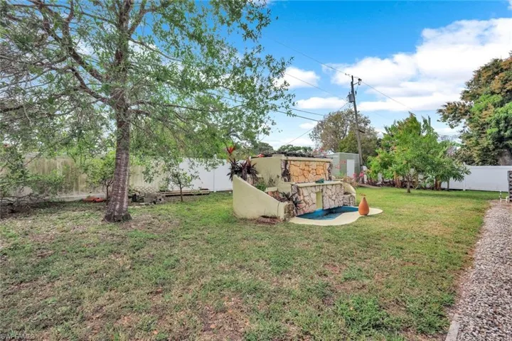 HUGE backyard with lemon and avocado trees!