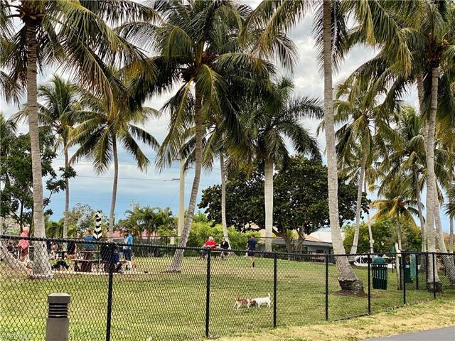 Dog Park