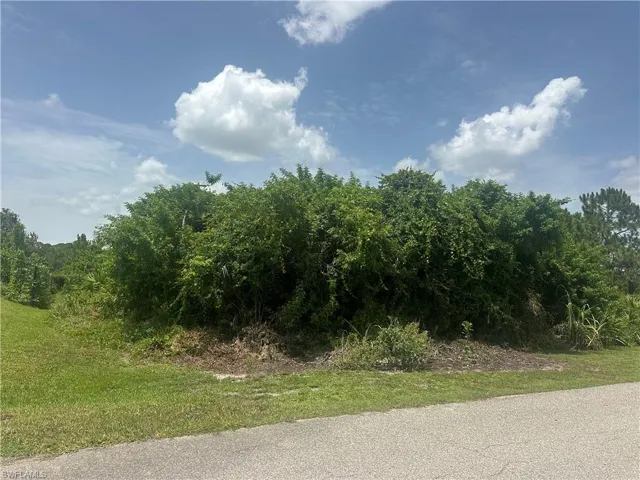 1141 Garibaldi St E, Lehigh Acres, Florida 33974