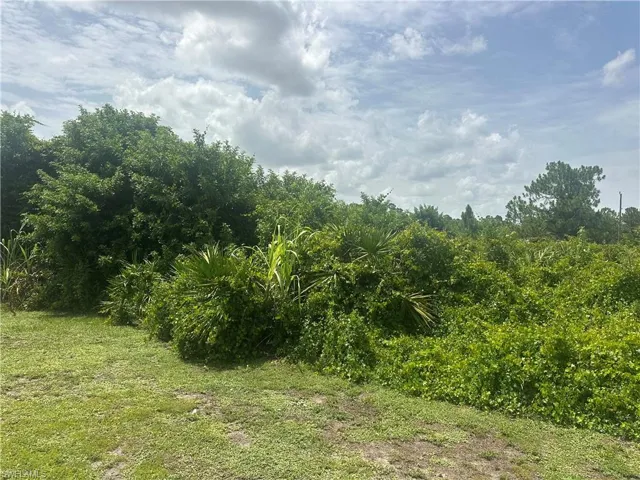 1141 Garibaldi St E, Lehigh Acres, Florida 33974