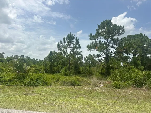 1141 Garibaldi St E, Lehigh Acres, Florida 33974