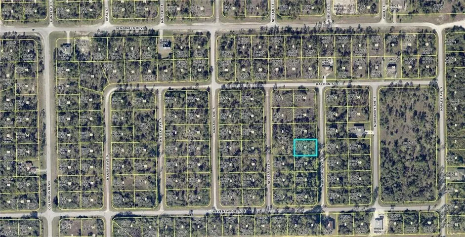 130 Noblemen Ave S, Lehigh Acres Fl 33974