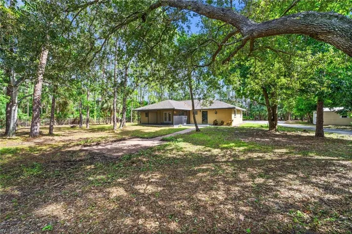Spacious private backyard with room for a pool, 4 mango trees and storage shed.