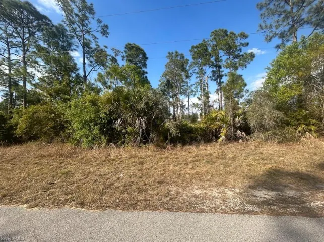 1135 Crestwood St E, Lehigh Acres, Florida 33974
