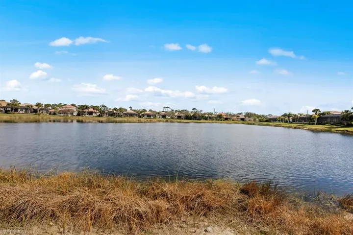Lake behind home