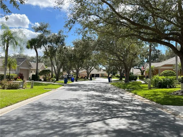 Community Of Mature Trees