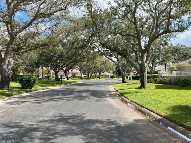 Community Of Mature Trees