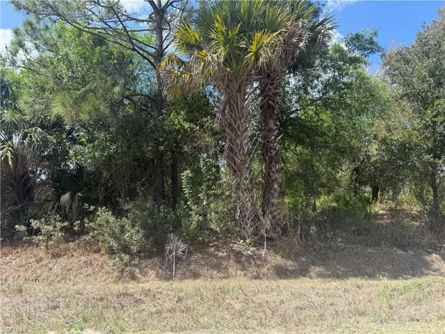 View of undeveloped land