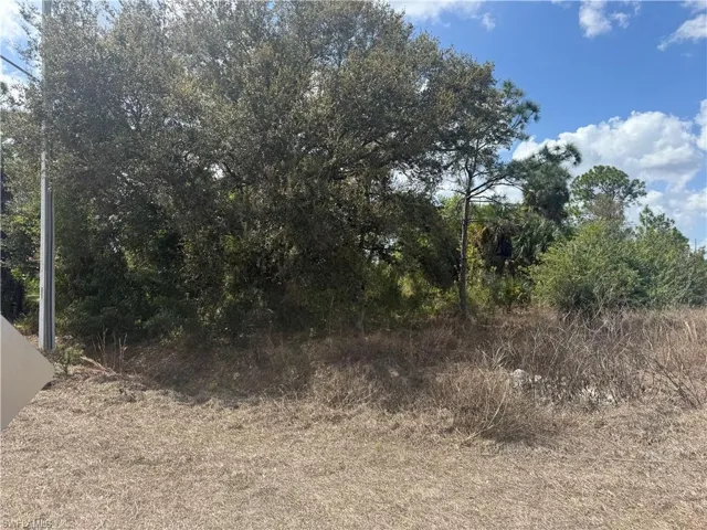 View of nature