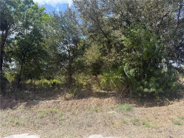 View of nature