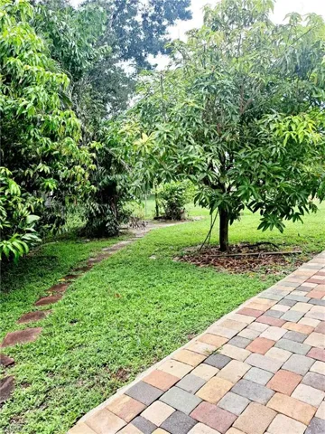 View of green lawn