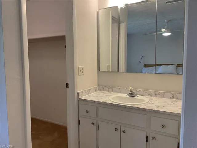 Master Bathroom vanity with large walk in closet