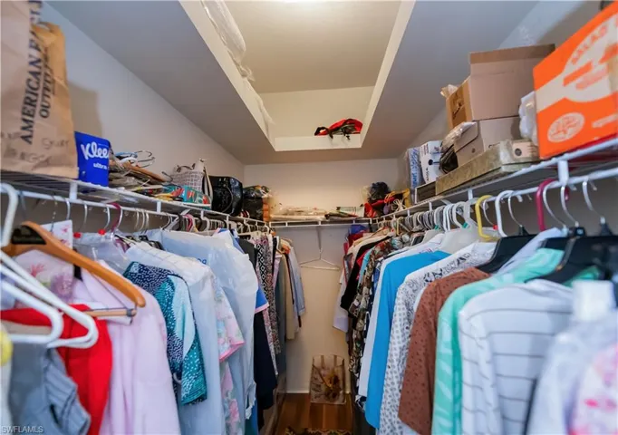 Walk in closet with wood finished floors