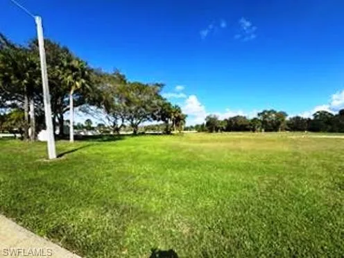 View of THE LOT