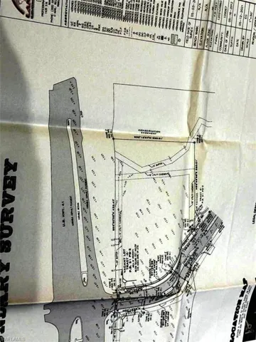 PICTURE OF THE SURVEY