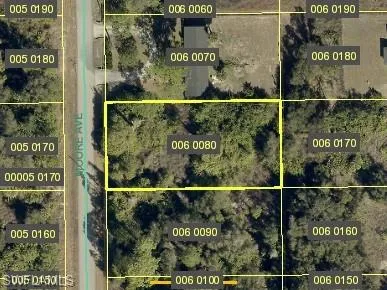 Plat Map. Illustrating the property boundaries and identification numbers for the parcels